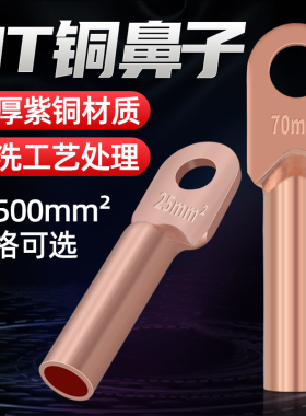 镀锡堵油铜鼻子铜接头接线端子线耳铜线鼻子DT10/16/25/35/50/70