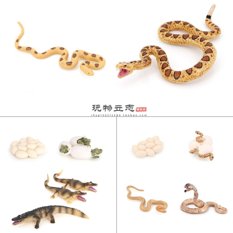 眼镜蛇仿真动物教具小摆件响尾蛇