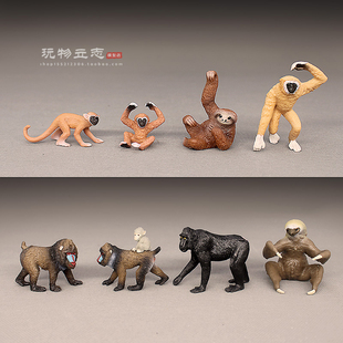 仿真灵长类野生动物模型 松鼠猴 长臂猿 山魈 树懒 猕猴认知玩具