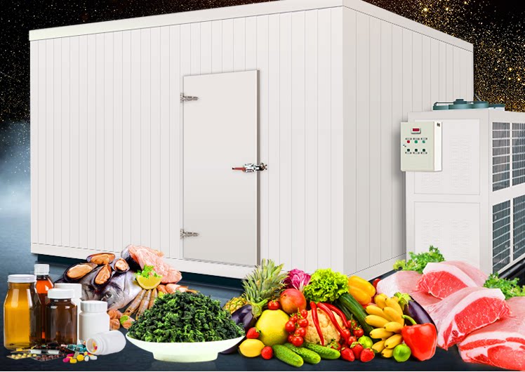 食品/果蔬/茶叶保鲜冷藏库 冷冻库定制 冷库全套制冷设备设计安装