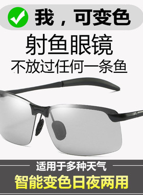 墨镜钓鱼户外变色日夜两用偏光镜