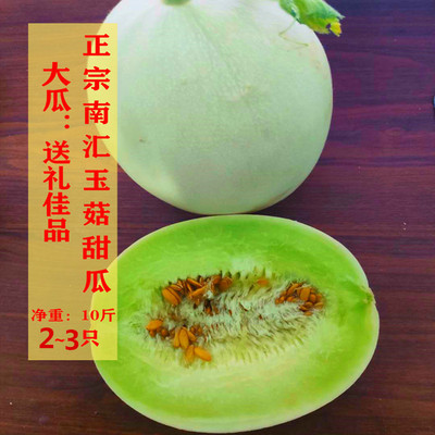 正宗上海南汇玉菇甜瓜 新鲜水果绿肉甜蜜瓜香瓜玉茹 大瓜送礼10斤