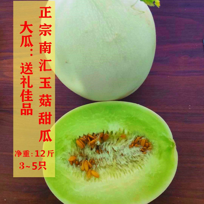 正宗上海南汇玉菇甜瓜 新鲜水果绿肉甜蜜瓜香瓜玉茹 大瓜送礼12斤