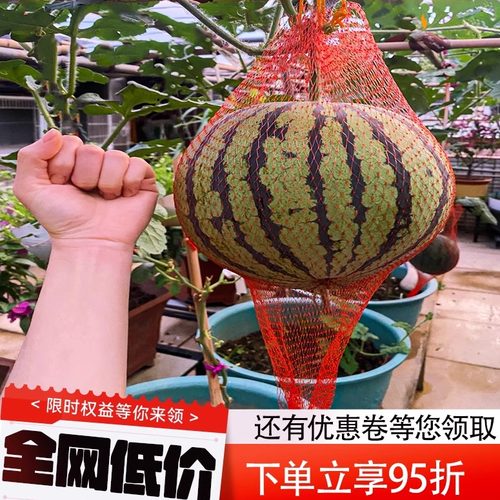 大鹏吊瓜尼龙袋带抽绳编织网兜