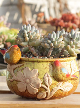 新款创意小鸟盆多肉植物盆粗陶透气蝴蝶盆大口径陶盆法师盆绿萝盆