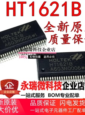 全新 HT1621B SSOP-48 RAM映射 LCD驱动器 液晶芯片 HT1621 台产