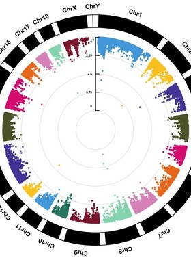 生信分析聚类热图圆圈热图GEO数据挖掘TCGA数据分析