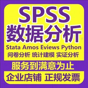 python代编程spss数据分析stata实证eviews统计amos问卷meta分析R