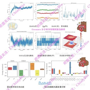分子动力学模拟Gromacs 网络药理学分析 中药复方RMSD MMPBSA报告