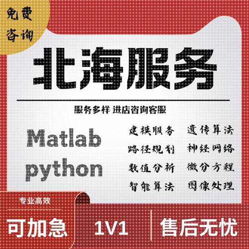 Matlab代码编写北海指导遗传算法python机器学习非代做