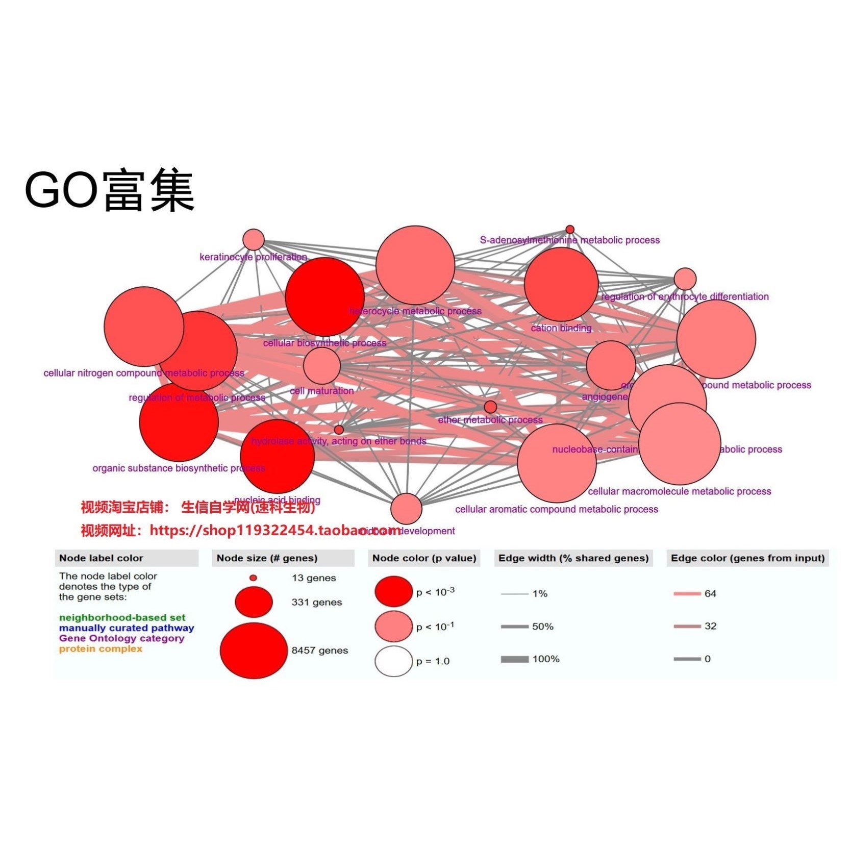 单细胞数据分析GEO TCGA RNA-seq测序数据挖掘结果可视化生信分析