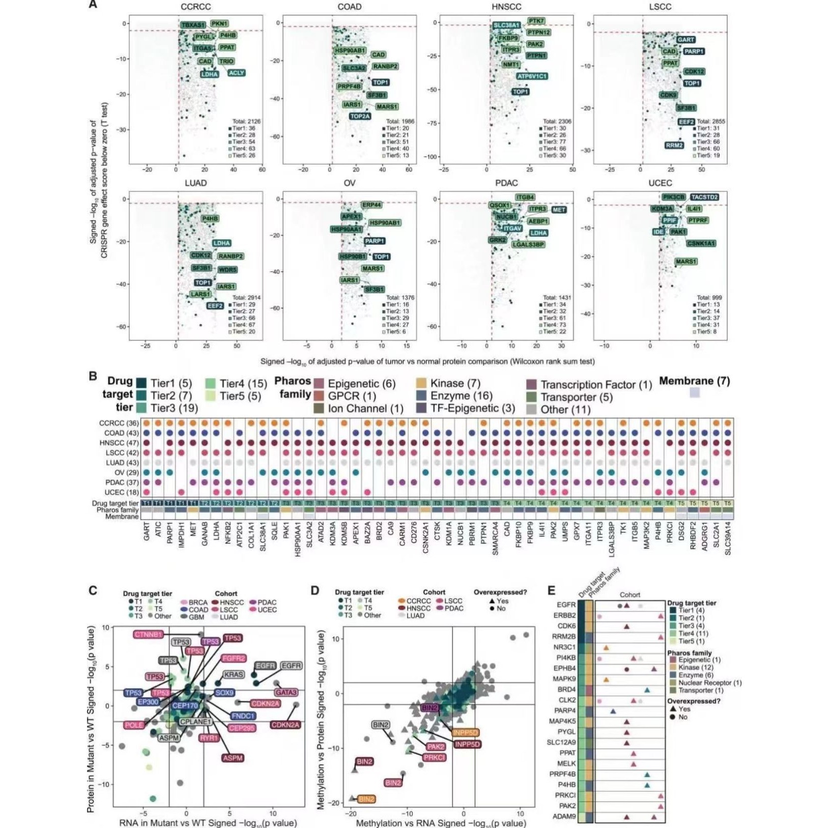 生信分析单细胞测序geo toga 数据库挖掘网络药理生物信息学服务