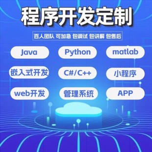 java代码编写Python代编程软件开发计算机小程序C语言前端接单