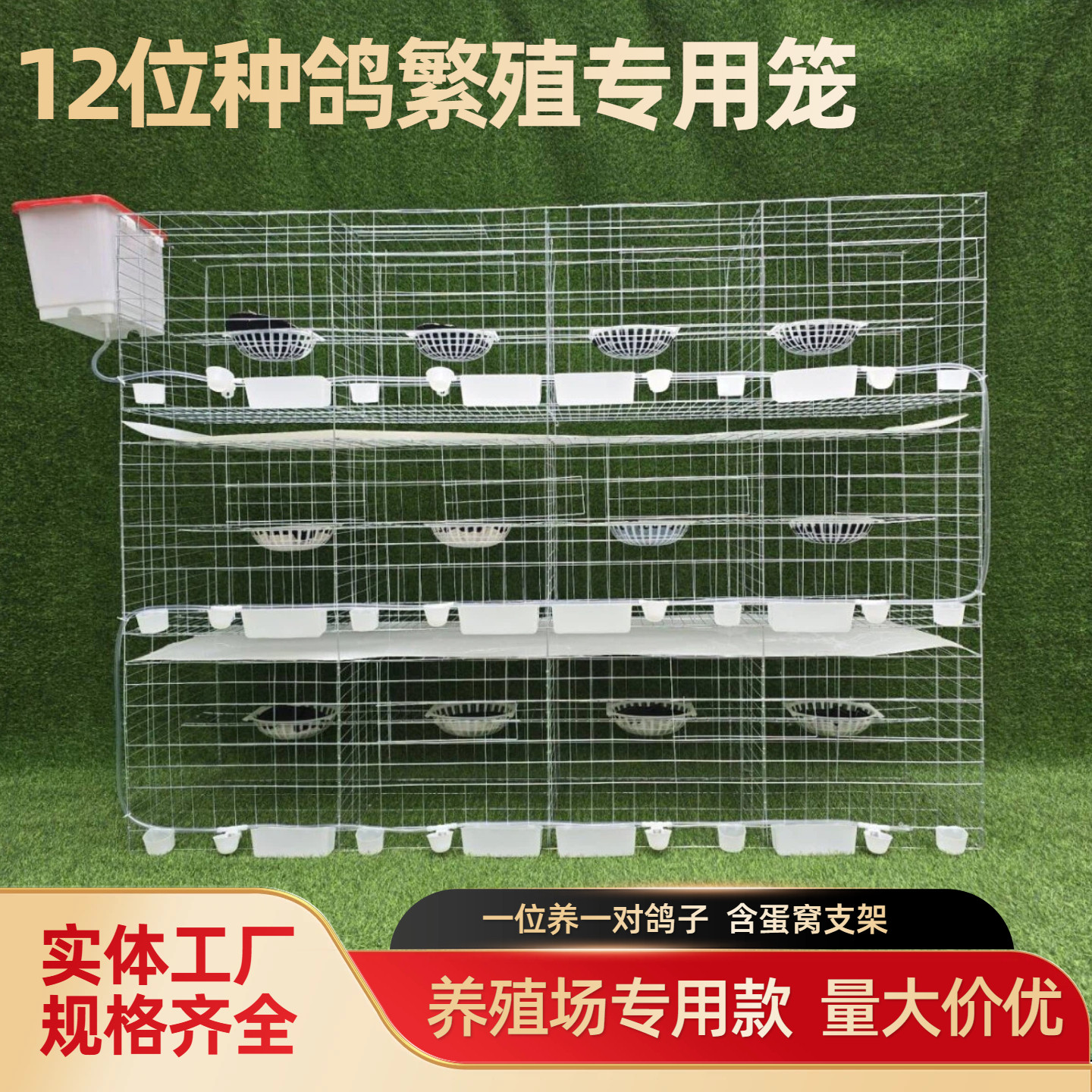 鸽子笼自家用特大号养殖专用笼子