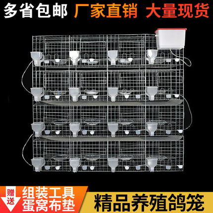 鸽子笼家用特大号新型养殖场鸽子专用笼鸽棚鸽舍专业元宝配对鸽笼