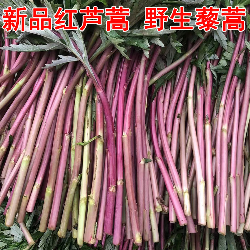 野生芦蒿南京特产新鲜蔬菜
