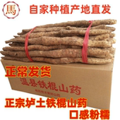 包邮 正宗河南焦作特产温县怀淮新鲜铁杆l垆土铁棍山药 农家自种
