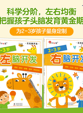 邦臣小红花左2岁右3岁脑开发全两册婴儿幼儿宝宝智力开发书本早教启蒙智力训练书插图益智游戏脑力总动员趣味加减法逻辑思维训练书