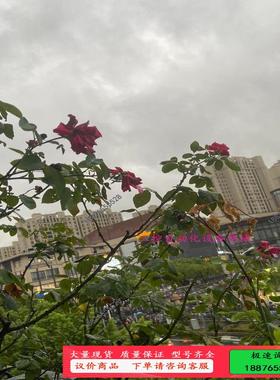 6av6646-1ba18-0na0【议价】