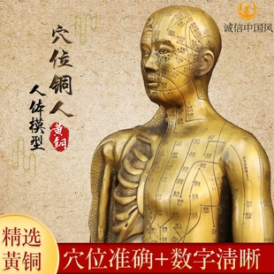 纯铜针灸穴位铜人黄铜摆件室内中医药馆人体模型穴位教学摆放用品