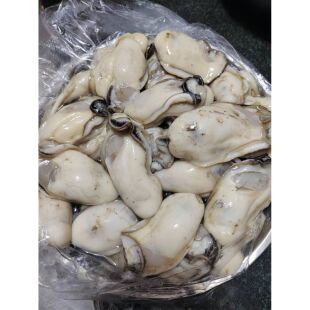 台山生蚝肉 阳江程村产地直销 肥美海生蚝新鲜现剥即发顺丰快递