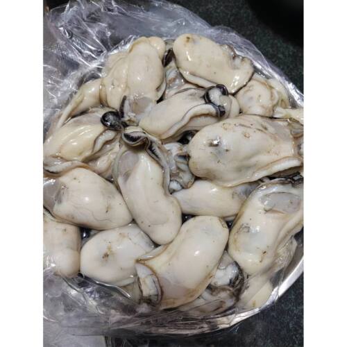 台山生蚝肉 阳江程村产地直销 肥美海生蚝新鲜现剥即发顺丰快递