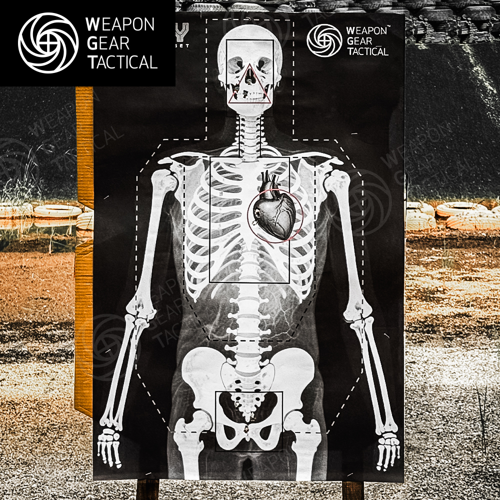 [WGT]无极战术 X-RAY人体结构透视靶 训练靶纸