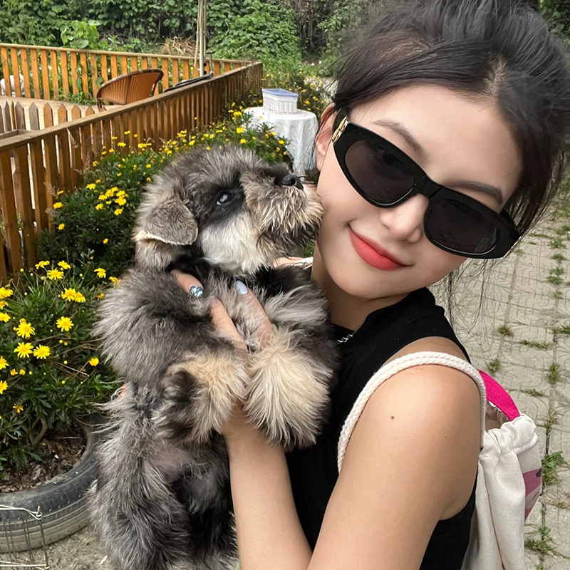 欧美复古双B三角猫眼太阳镜女ins潮辣妹凹造型街拍粗框超黑墨镜男