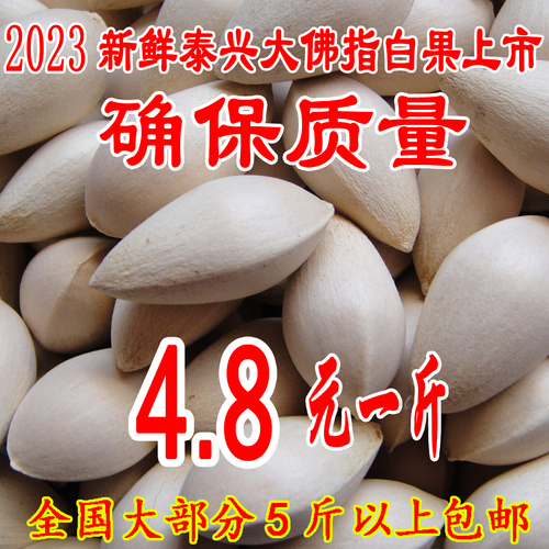 2023新鲜泰兴特级大佛指生白果银杏果（保质量●送食谱）5斤包邮