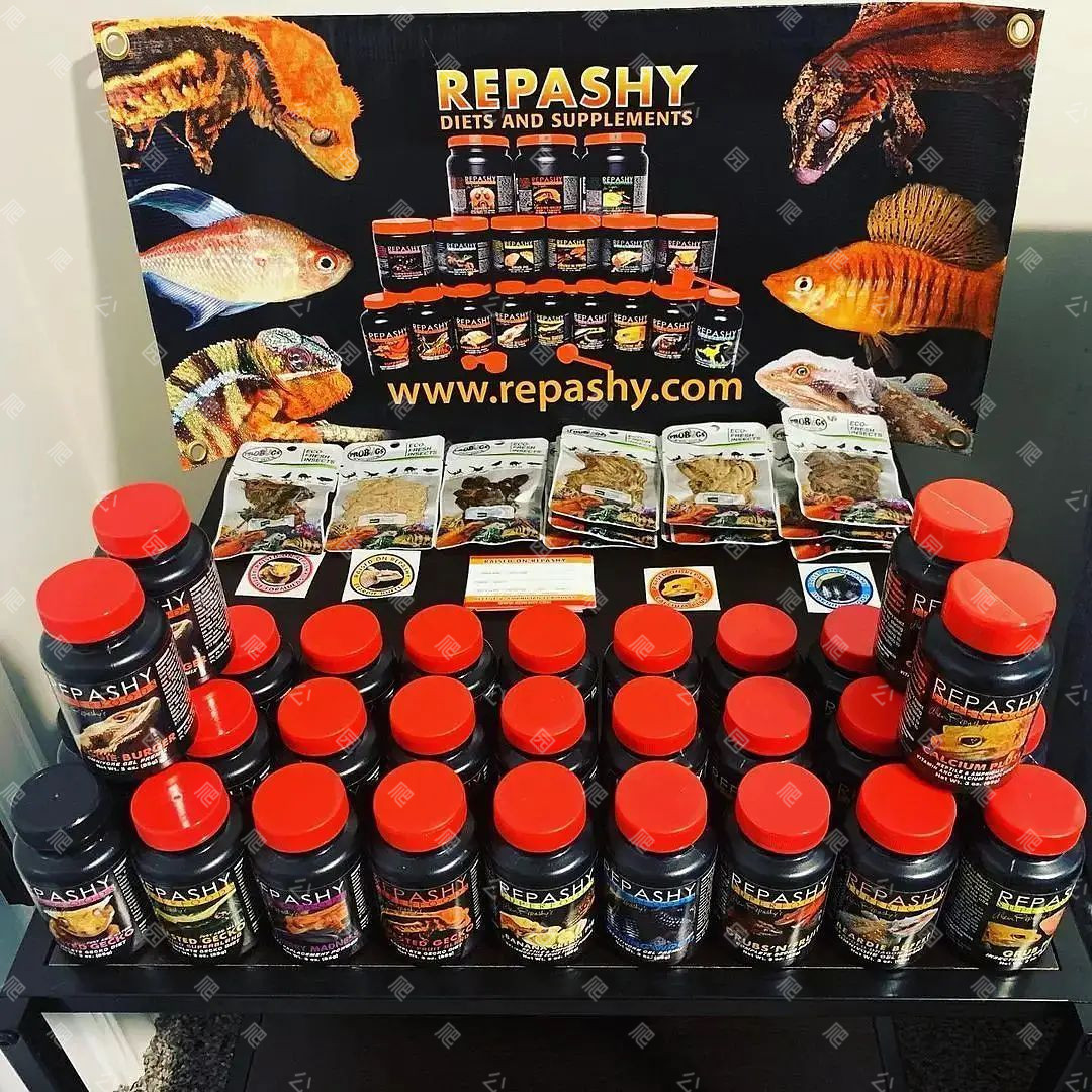 Repashy钙加维生素爬宠补充剂美国R牌睫角守宫钙粉豹纹巨人R属爬