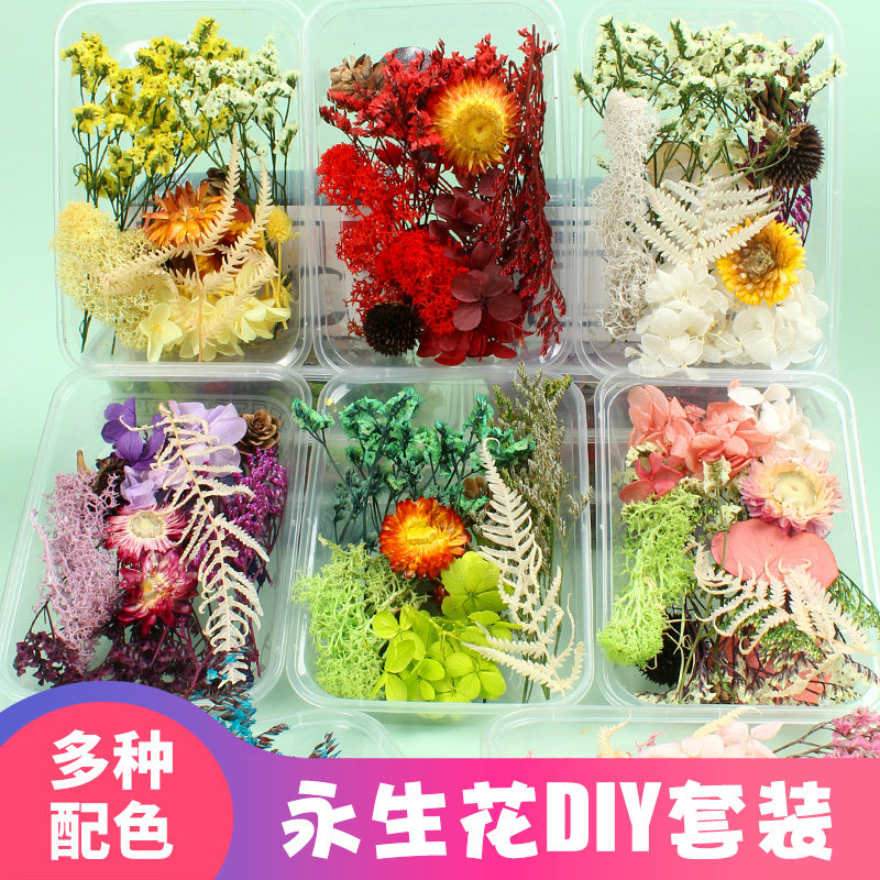 永生花材料包团扇相框装饰浮游花手工自制蜡烛压真干花diy教师节