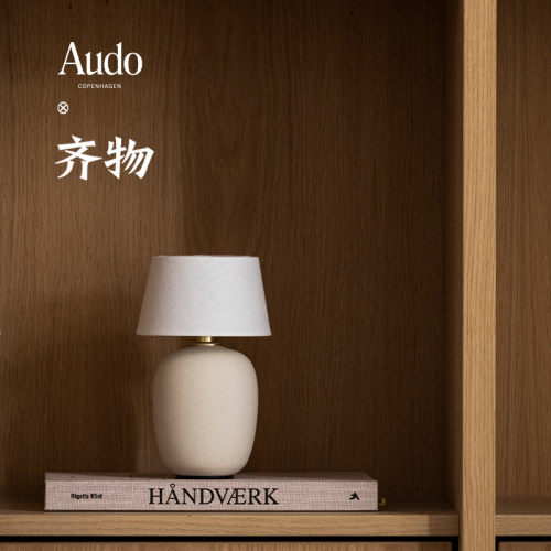 AUDOTorso台灯氛围灯