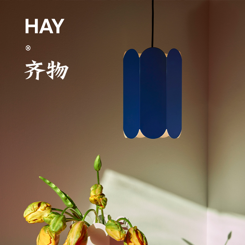HAYArcsShade灯罩壁灯台灯吊灯