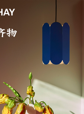 丹麦HAY Arcs Shade 灯罩壁灯台灯吊灯现代创意时尚金属氛围灯罩