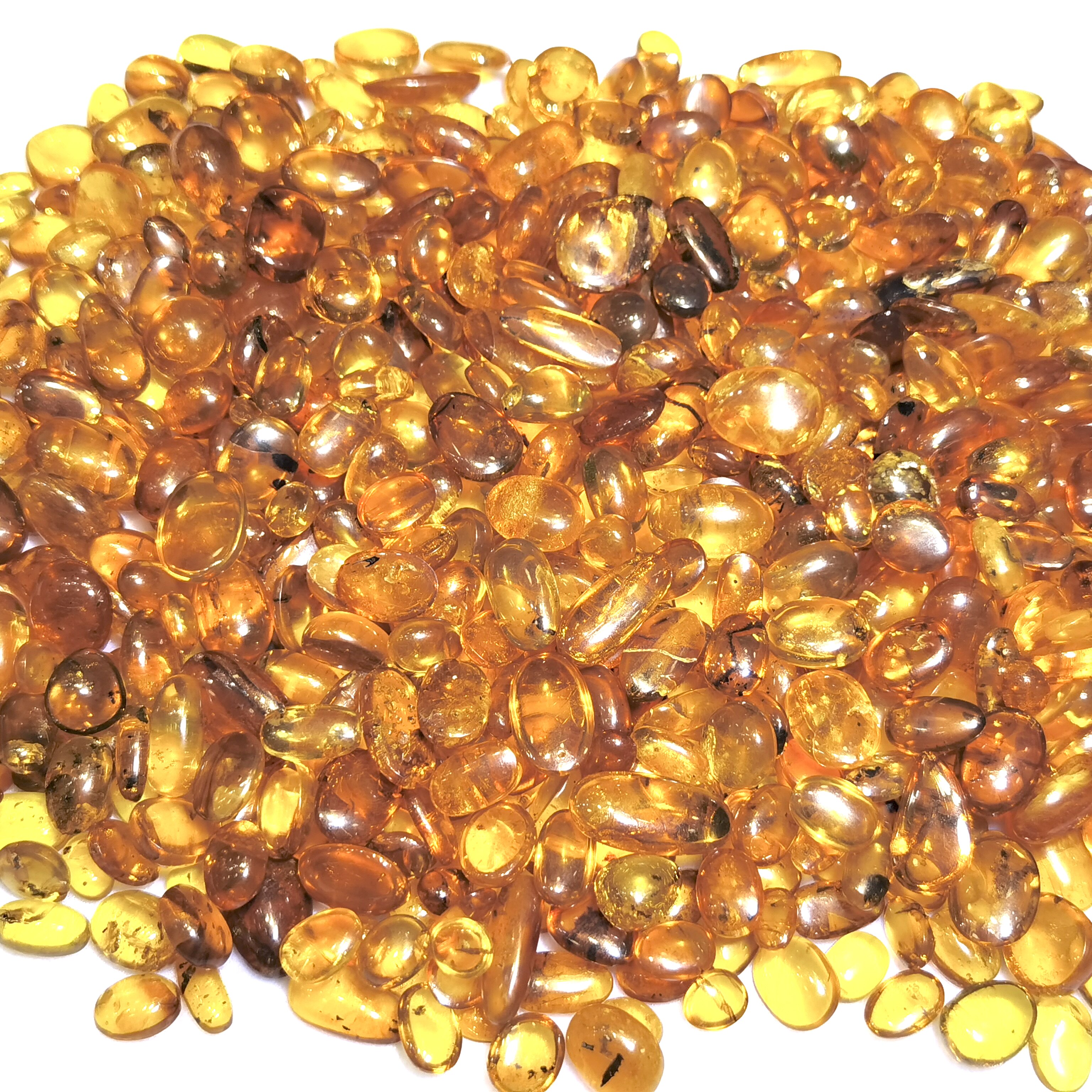 时代珠宝天然多米尼加琥珀虫珀标本入门科普级蚊子蜜蜂蚂蚁蜘蛛