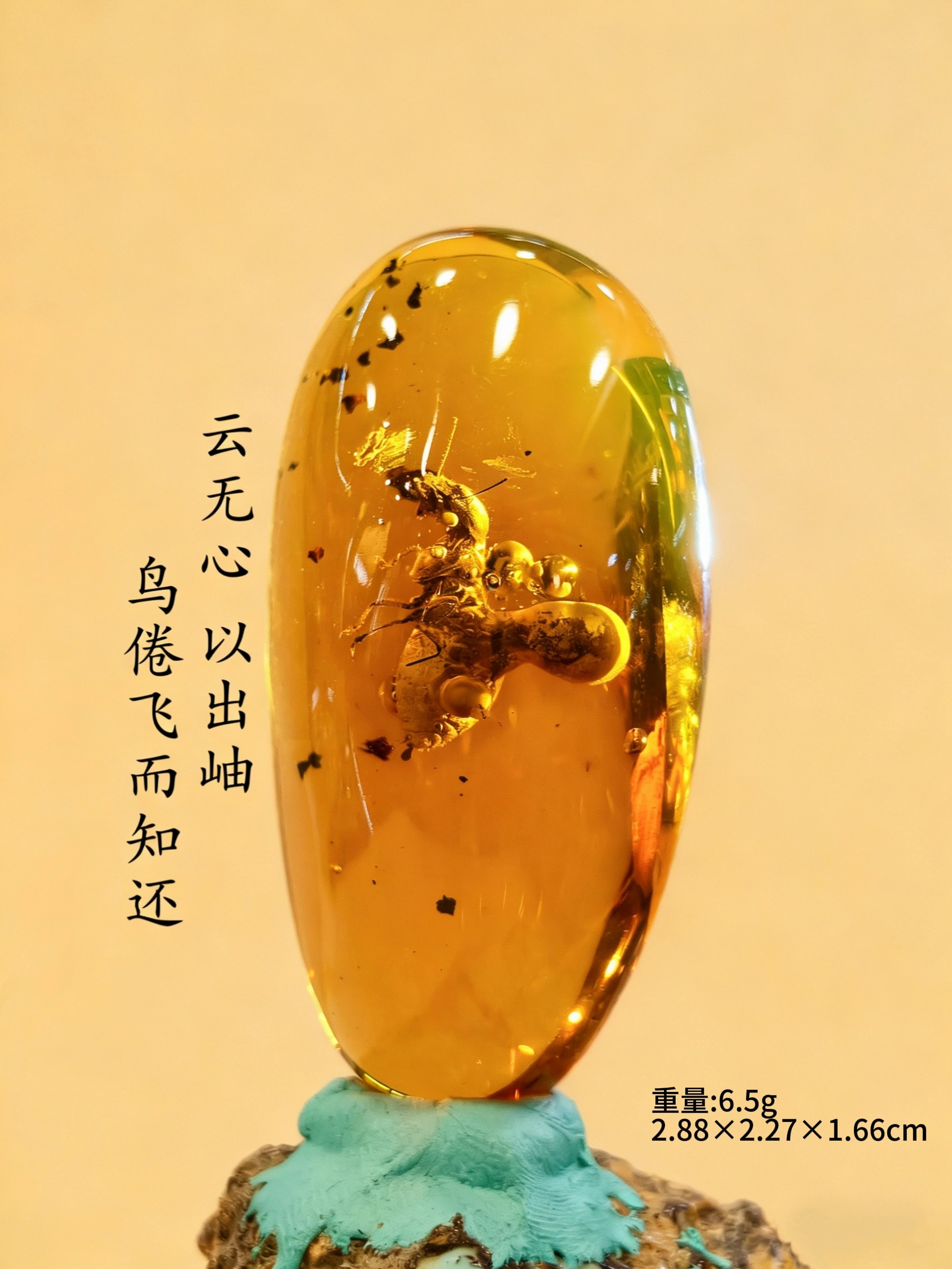 多米尼加天然虫珀