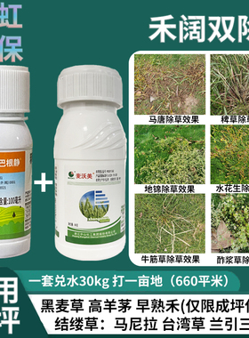 禾阔杂草双除马尼拉黑麦草高羊茅草坪除牛筋草马唐稗草水花生地锦
