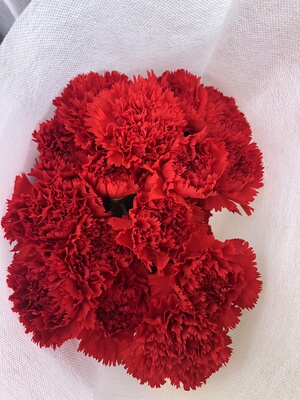 德邦空运康乃馨40枝