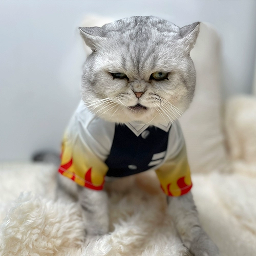 Ghost Destroyer Pet Petting Products Big Brother Purgicaly Purgical Apricot Shoulang Cat Clothing Dog Boed Boed Ghost Kill Team T -Fish Clothing