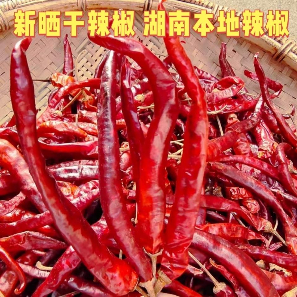 湖南干辣椒超辣特辣特香怀化会同特产二荆条红辣椒晒干500g新货
