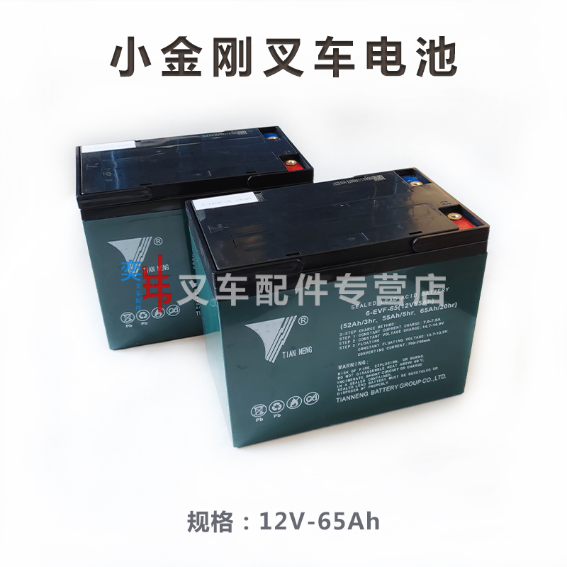 中力EPT20-15ET2小金刚 诺力6-EVF-65 12V65Ah免维护 地牛电瓶