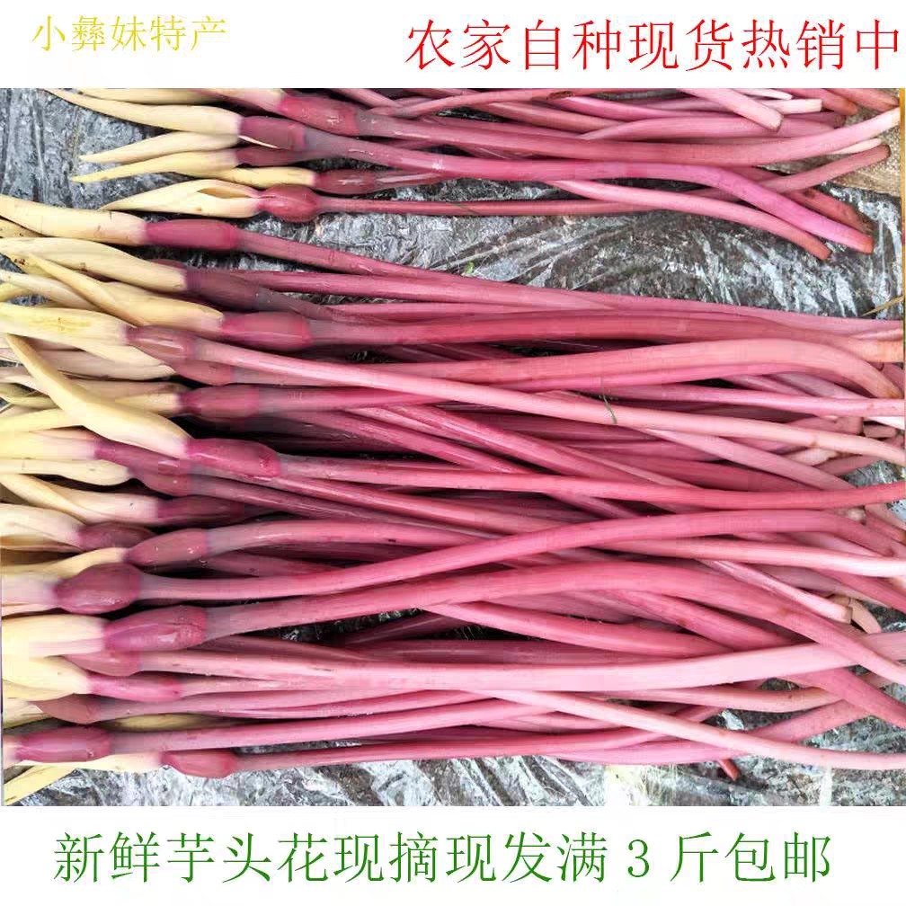 芋头花云南露天种植芋荷花紫芋头花干花包邮,水产肉类/新鲜蔬果/熟食,芋头,淘宝优惠券,粉丝福利购,淘宝优惠卷