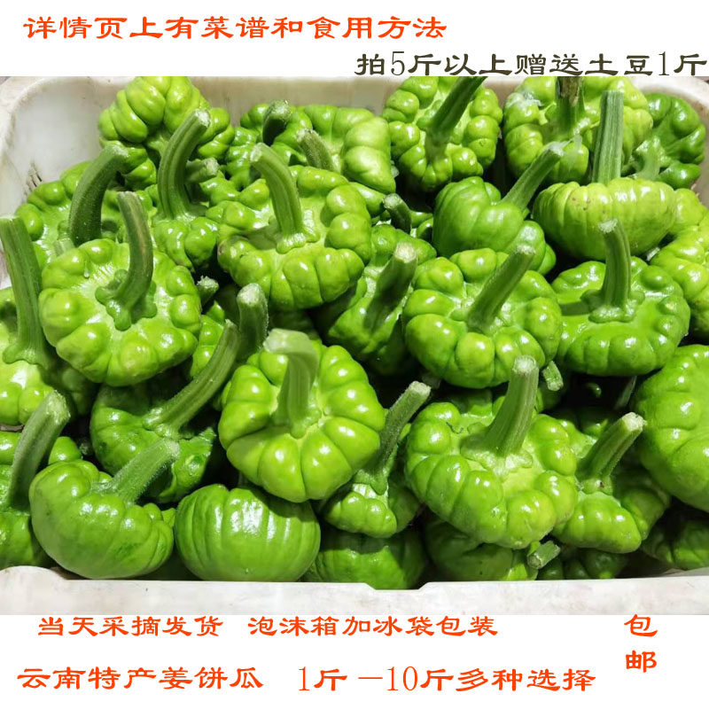 小瓜 云南姜柄瓜 嫩瓜食用小面瓜农产品直销当季新鲜产地蔬菜炒菜