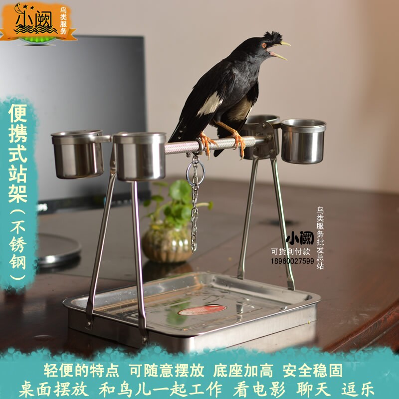不锈钢遛鸟站架鸟架子  便携式鹦鹉站架 桌面站架训练鹦鹉玩具用