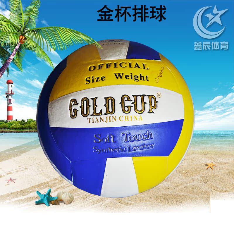 Ballon de volley - Ref 2011674 Image 1