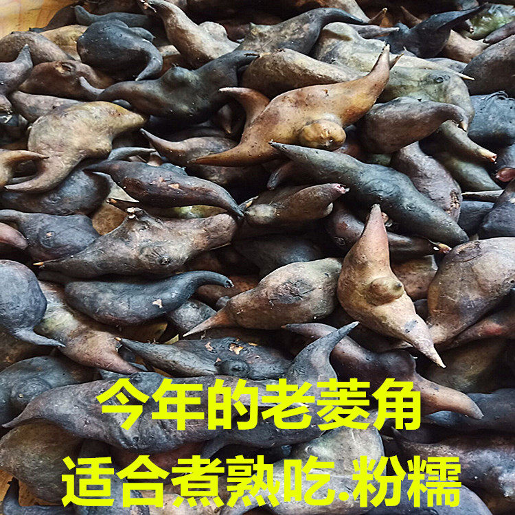 新糯湖北特产现发包邮老菱角