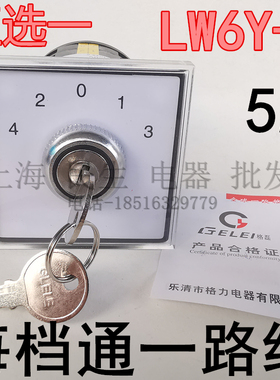 格磊C034原装冲床转换开关LW6Y-2/C344五档路线5A银触点带钥匙锁