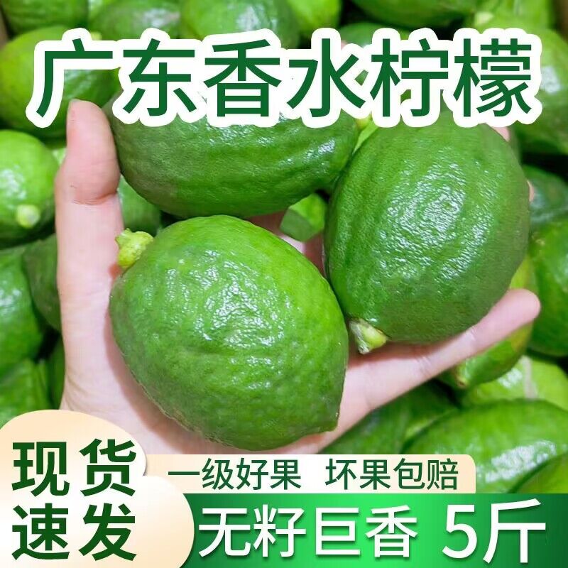 广东香水柠檬5/10斤新鲜现摘应当季精选水果青柠檬奶茶店榨汁包邮