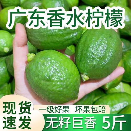 无籽广东香水柠檬正宗新鲜青柠檬现摘一二级大果皮薄香奶茶店水果