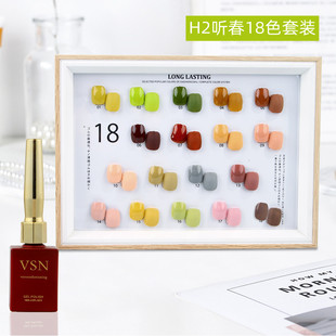 VSN网红牛油果绿指甲油胶新款流行显白18色套装美甲店专用小套系